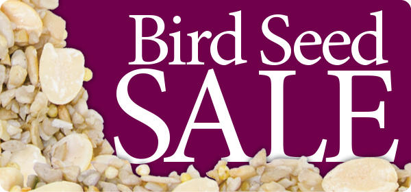 Seed Sale