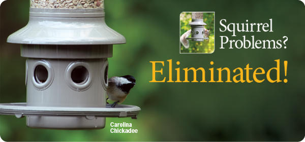 Wild Birds Unlimited Nature Shop